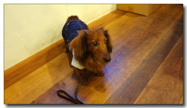 20130705075425.JPG