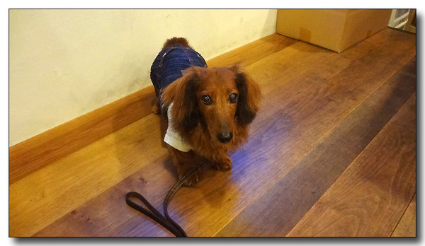 20130705075427.JPG