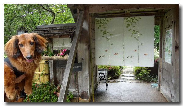 20130708082123.JPG