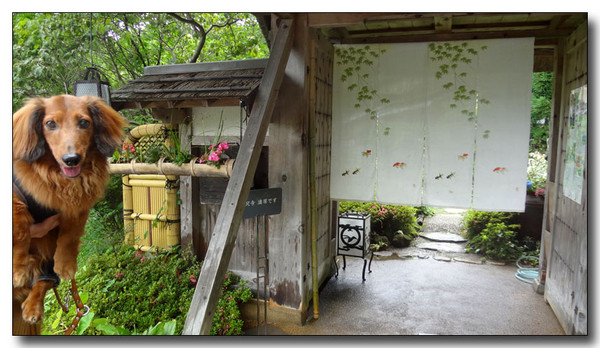 20130708082124.JPG