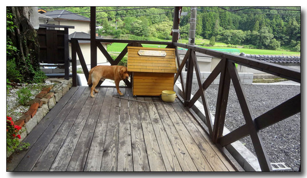 20130709224605.JPG