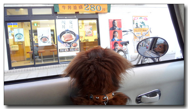 20130710091613.JPG