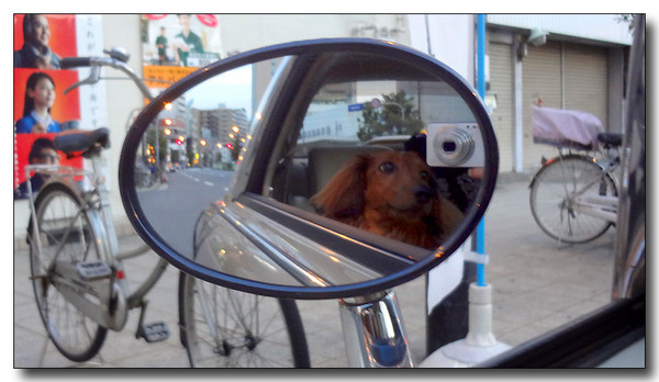 20130710091614.JPG