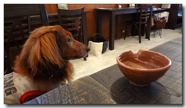 20130710091647.JPG