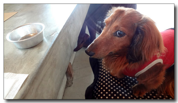 20130710091758.JPG