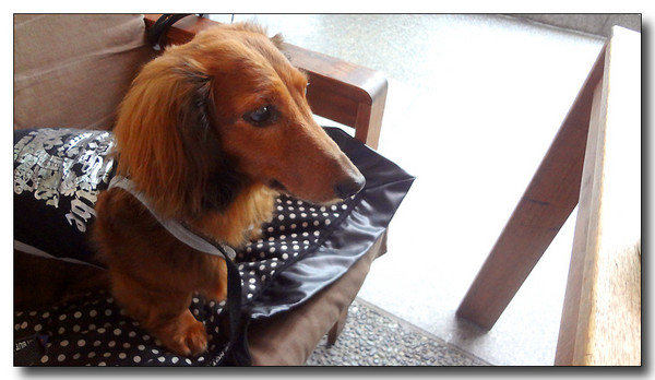 20130710232736.JPG