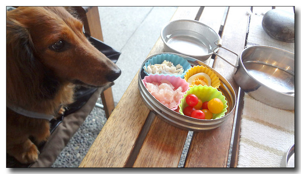 20130710232754.JPG