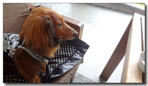 20130710232757.JPG