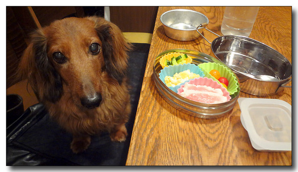 20130710234131.JPG
