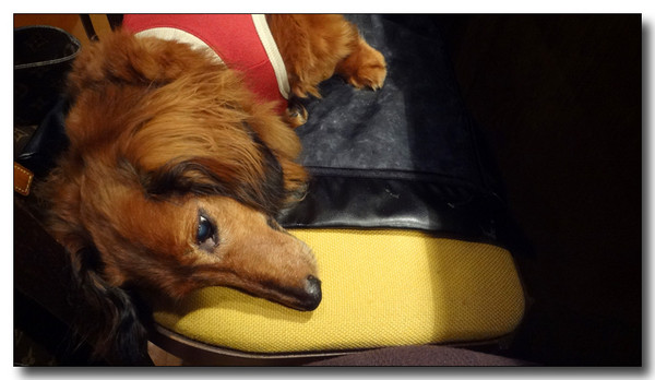20130710234133.JPG