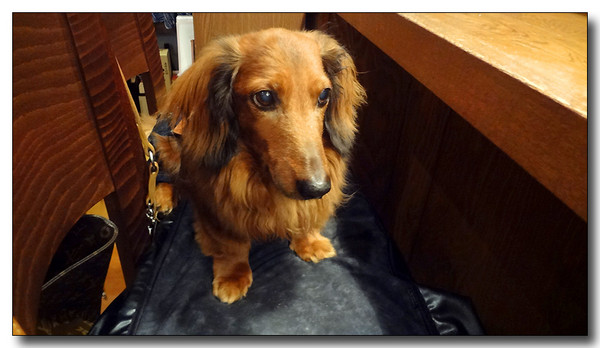 20130711104748.JPG