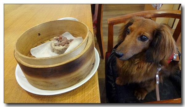 20130711114454.JPG