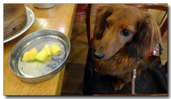 20130711114455.JPG