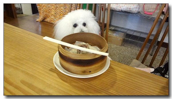 20130711114531.JPG