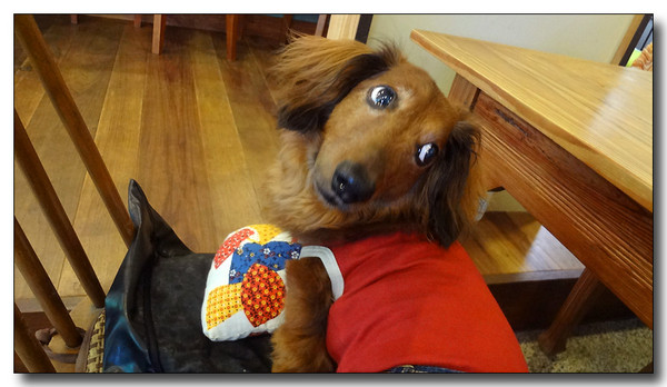 20130711114532.JPG
