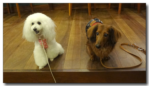 20130711114559.JPG