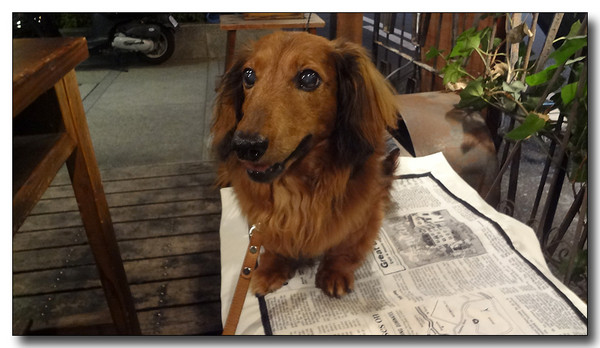 20130711194624.JPG