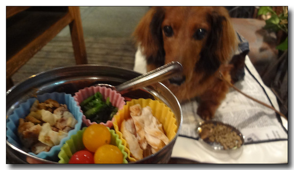 20130711194649.JPG