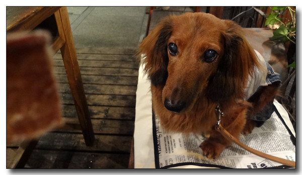 20130711194651.JPG