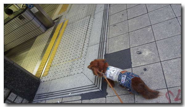 20130711194942.JPG