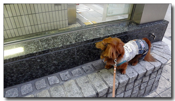 20130711194943.JPG