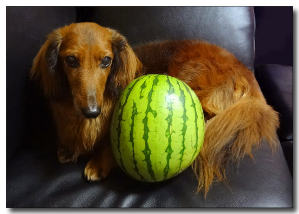 20130711200210.JPG