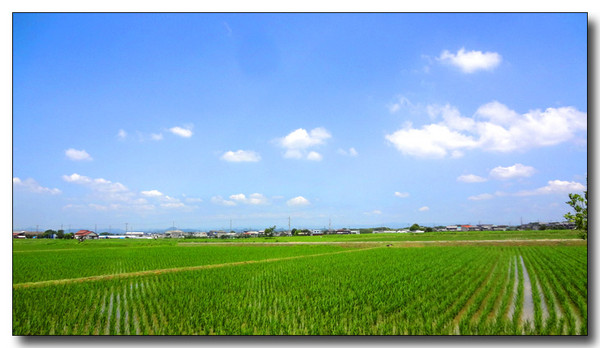 20130712083849.JPG