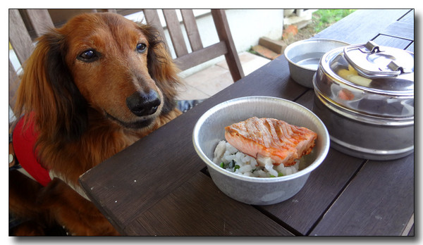 20130712084026.JPG
