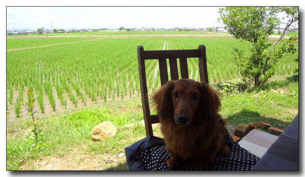 20130712084028.JPG