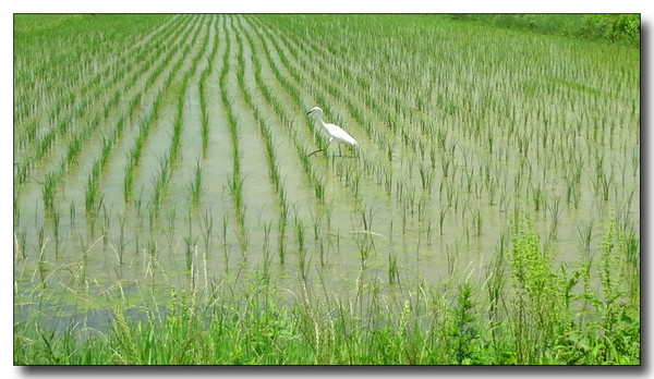 20130712084030.JPG