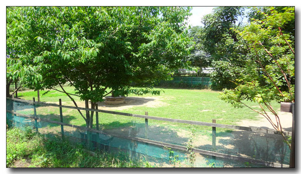 20130712114736.JPG