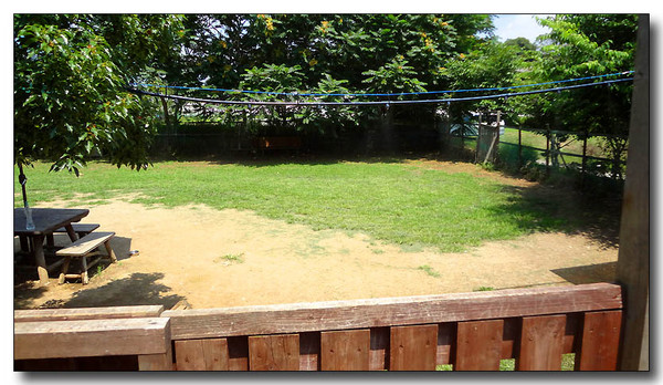 20130712114737.JPG