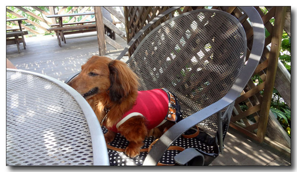 20130712114826.JPG