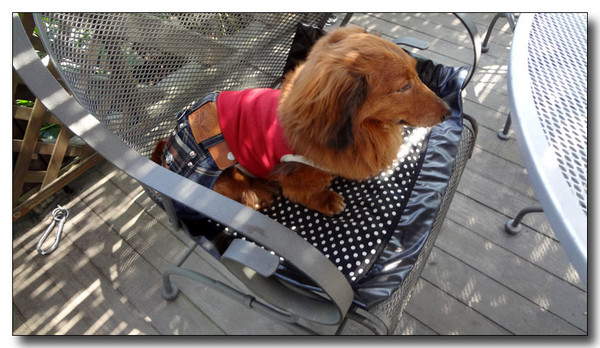 20130712114840.JPG