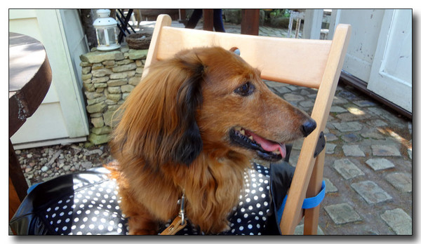 20130712220216.JPG