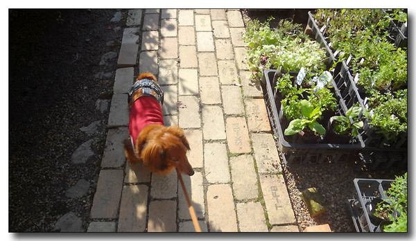 20130716035703.JPG