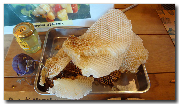 20130716035755.JPG