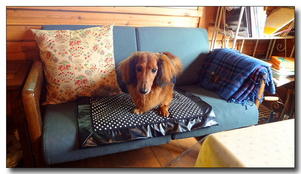 20130716065936.JPG