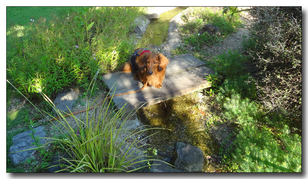20130716070047.JPG