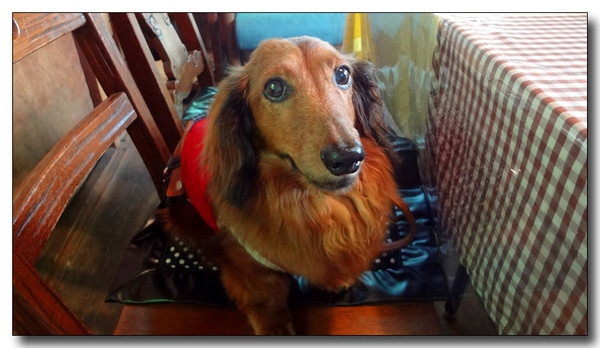 20130716110215.JPG