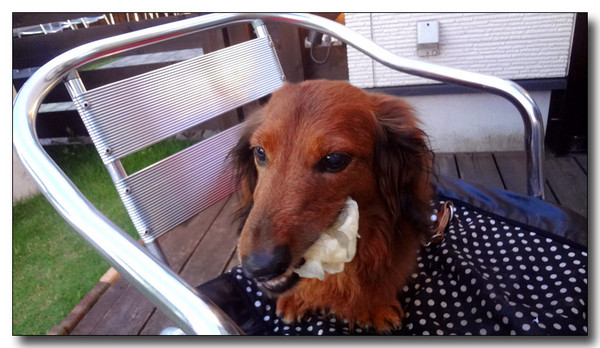 20130716221739.JPG 20130716221739.JPG