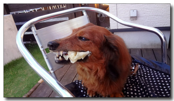 20130716221740.JPG 20130716221740.JPG