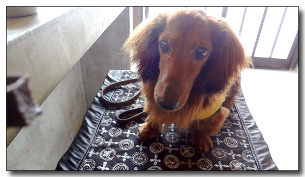 20130719070231.JPG