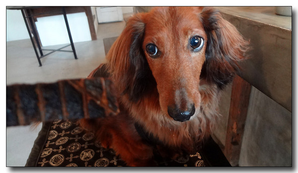 20130719071034.JPG
