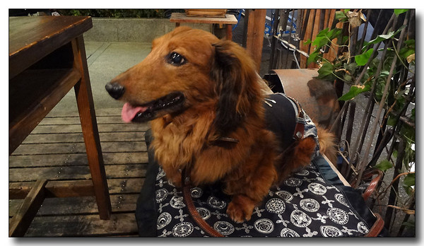 20130719083126.JPG
