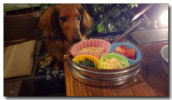 20130719083145.JPG