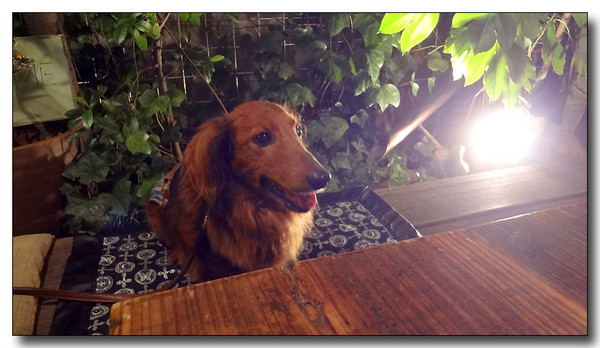 20130719083147.JPG