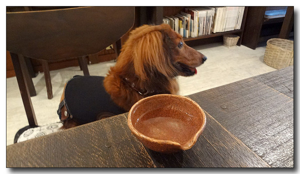 20130720165555.JPG