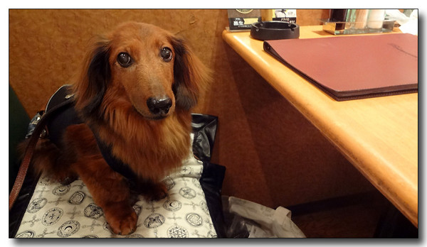 20130721125631.JPG