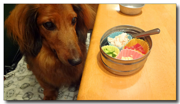 20130721125652.JPG